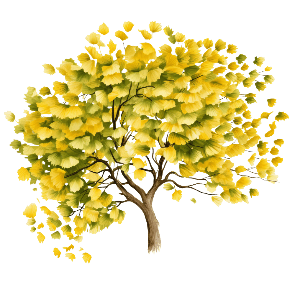 The SelfHealing Movement Academy The SelfHealing Movement Academy Ginkgo Tree